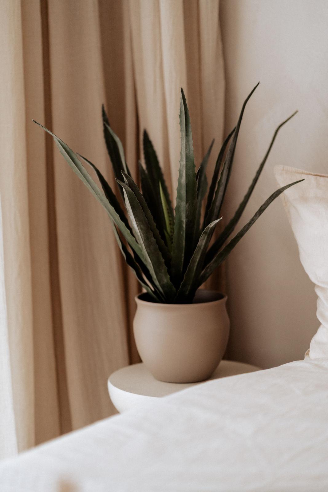 21 - EliSó Studio (31 von 41)